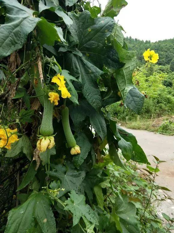 在隐居吧里，我看到了43万社畜的真实生活