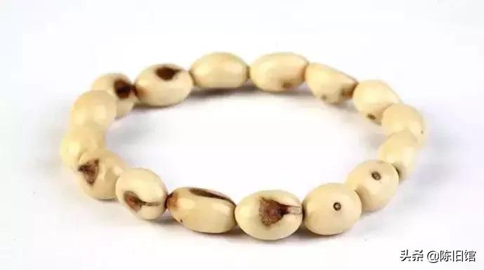 最值得玩的菩提子,真正的菩提子