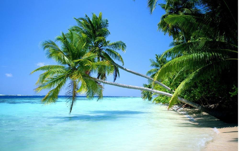 中国车牌省份简称大全,中国各个省市简称的由来