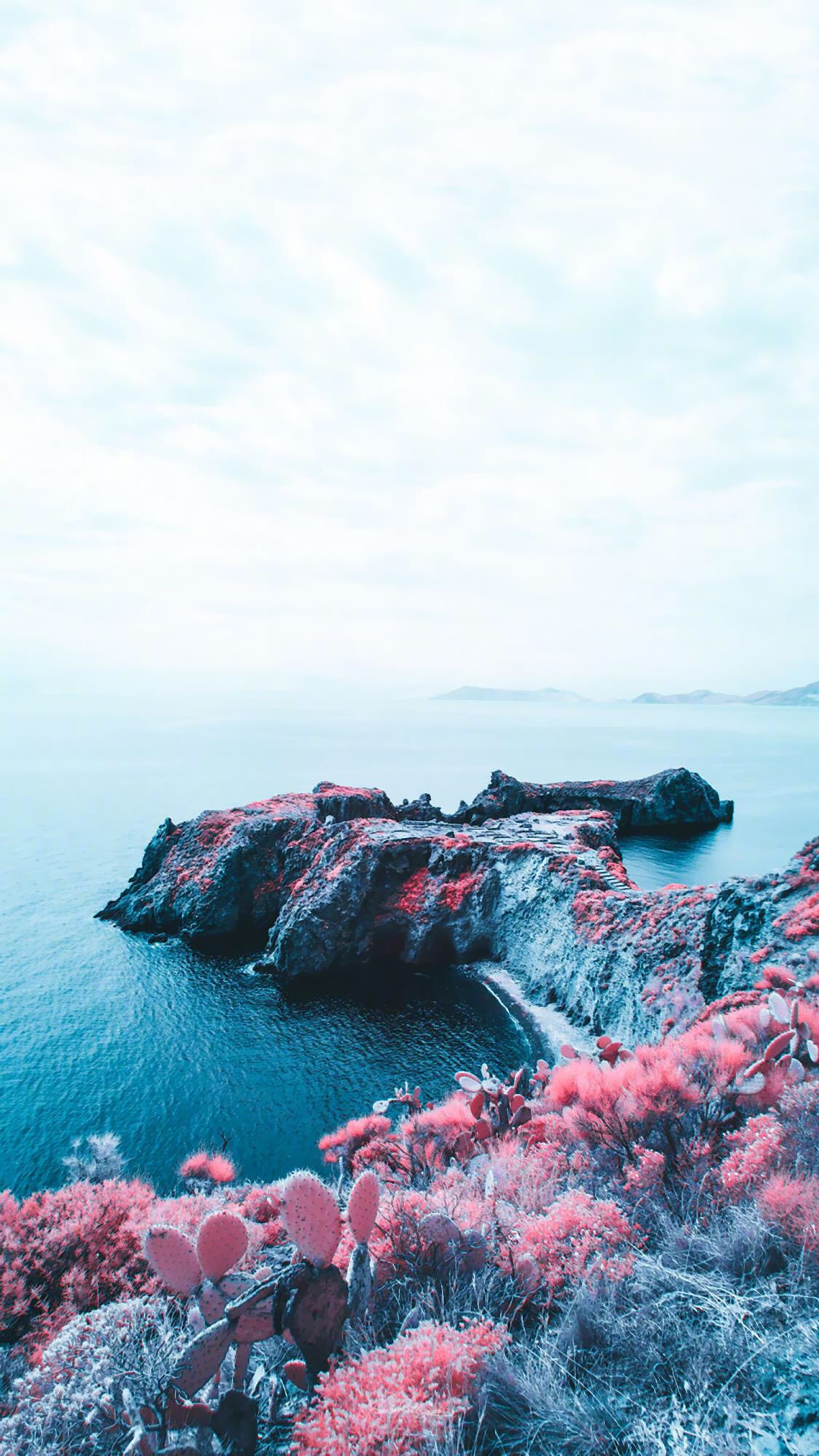 1920超高清手机自然风景壁纸,壁纸超清4k手机壁纸简单干净风景