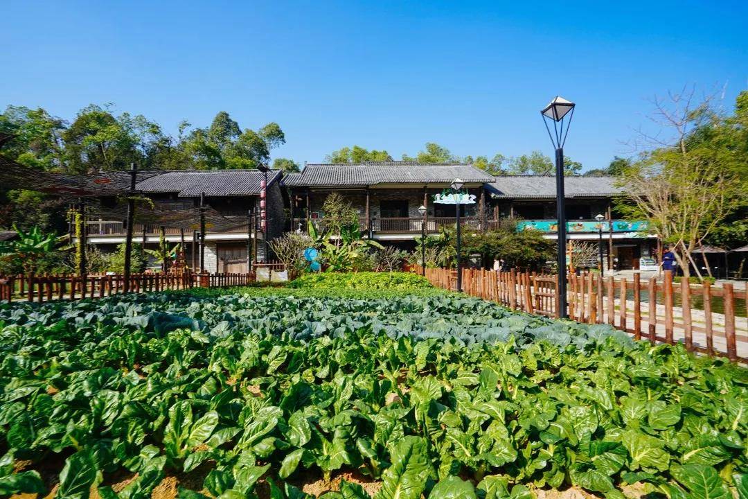 深圳甘坑客家小镇旅游攻略,深圳甘坑客家小镇奇幻夜