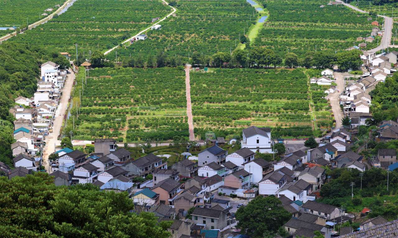 自驾游桃花岛攻略大全,自驾游桃花岛一日游攻略