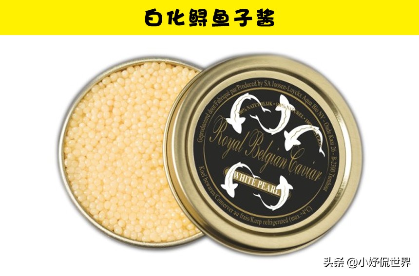 盘点那些很贵的食物,昂贵的8种食物你吃过哪几个