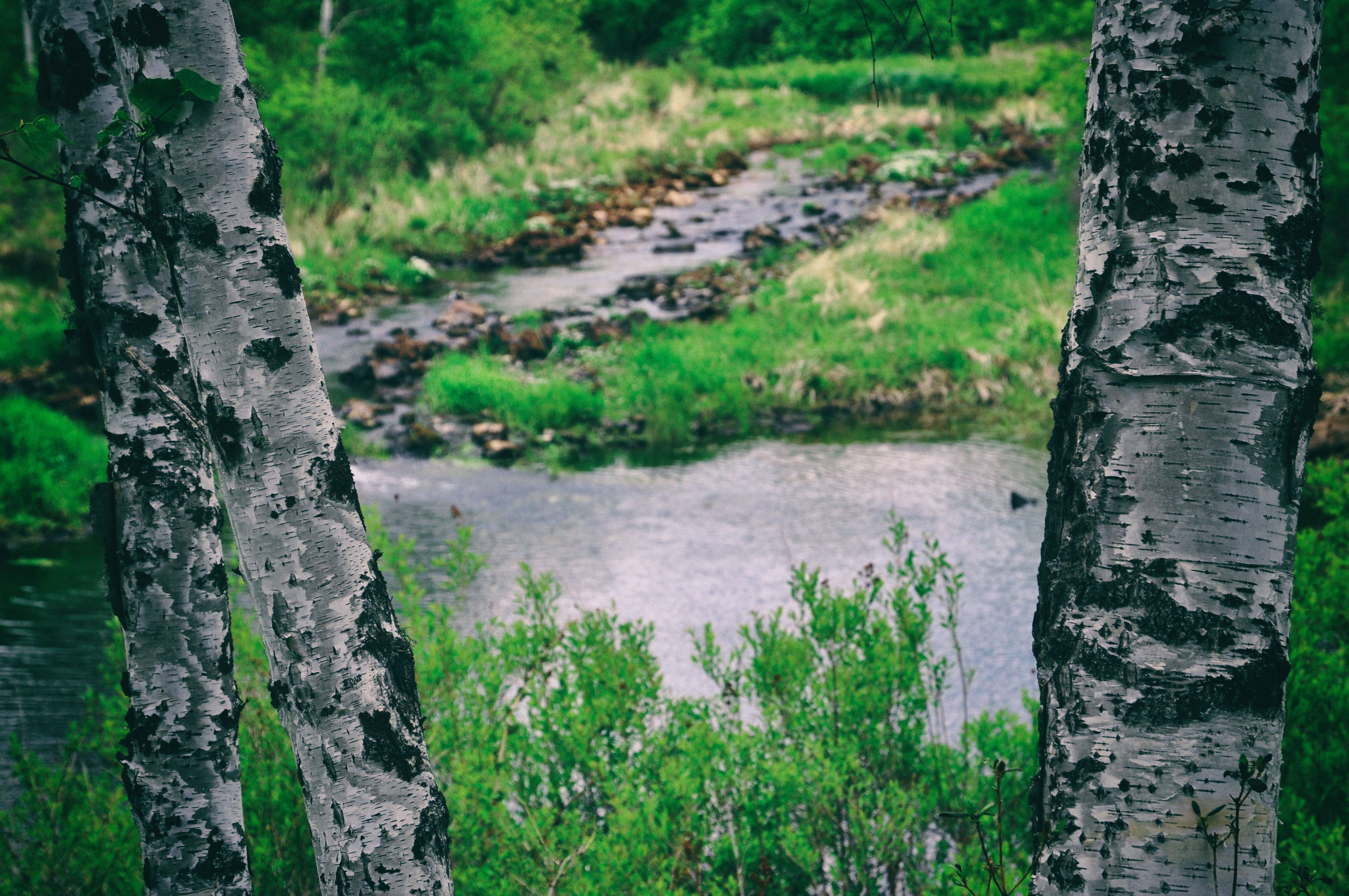 被称为东方瑞士的地方,号称东方瑞士