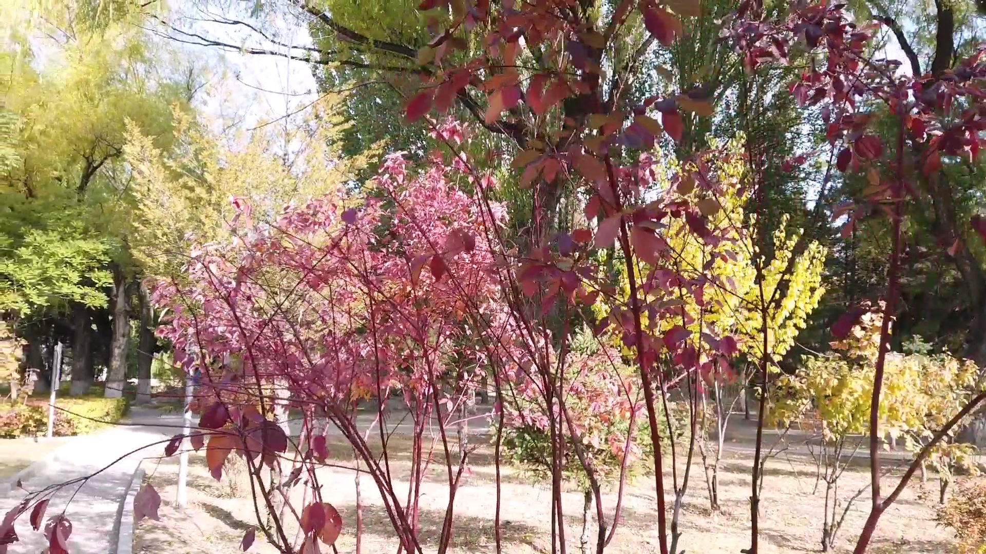 呼和浩特满都海公园晚上,呼和浩特市满都海公园有什么特点