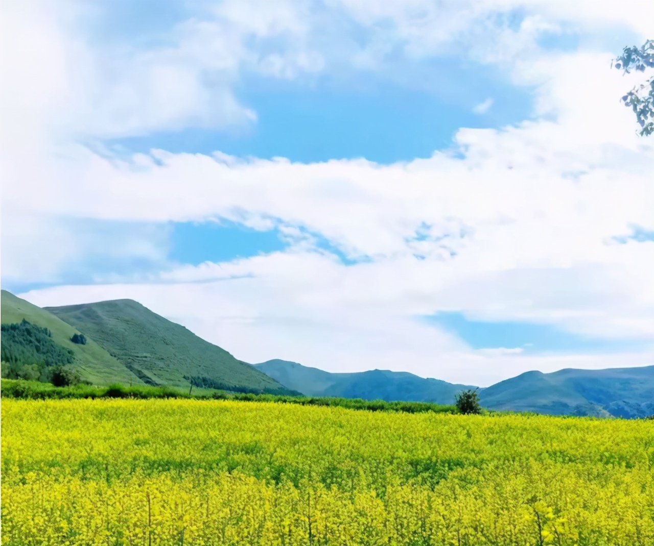 云上丹寨全国青少年足球邀请赛,云上丹寨足球邀请赛完整版