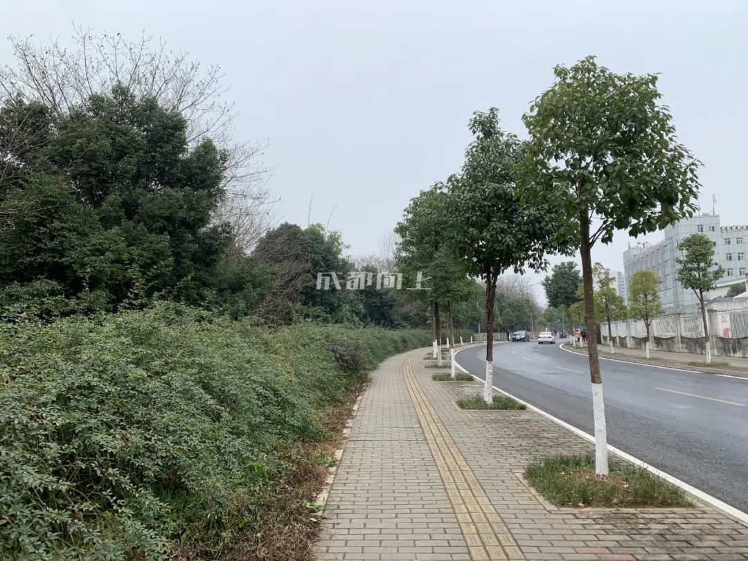 成都绿道风景美如画,成都周边哪条河边绿道最美