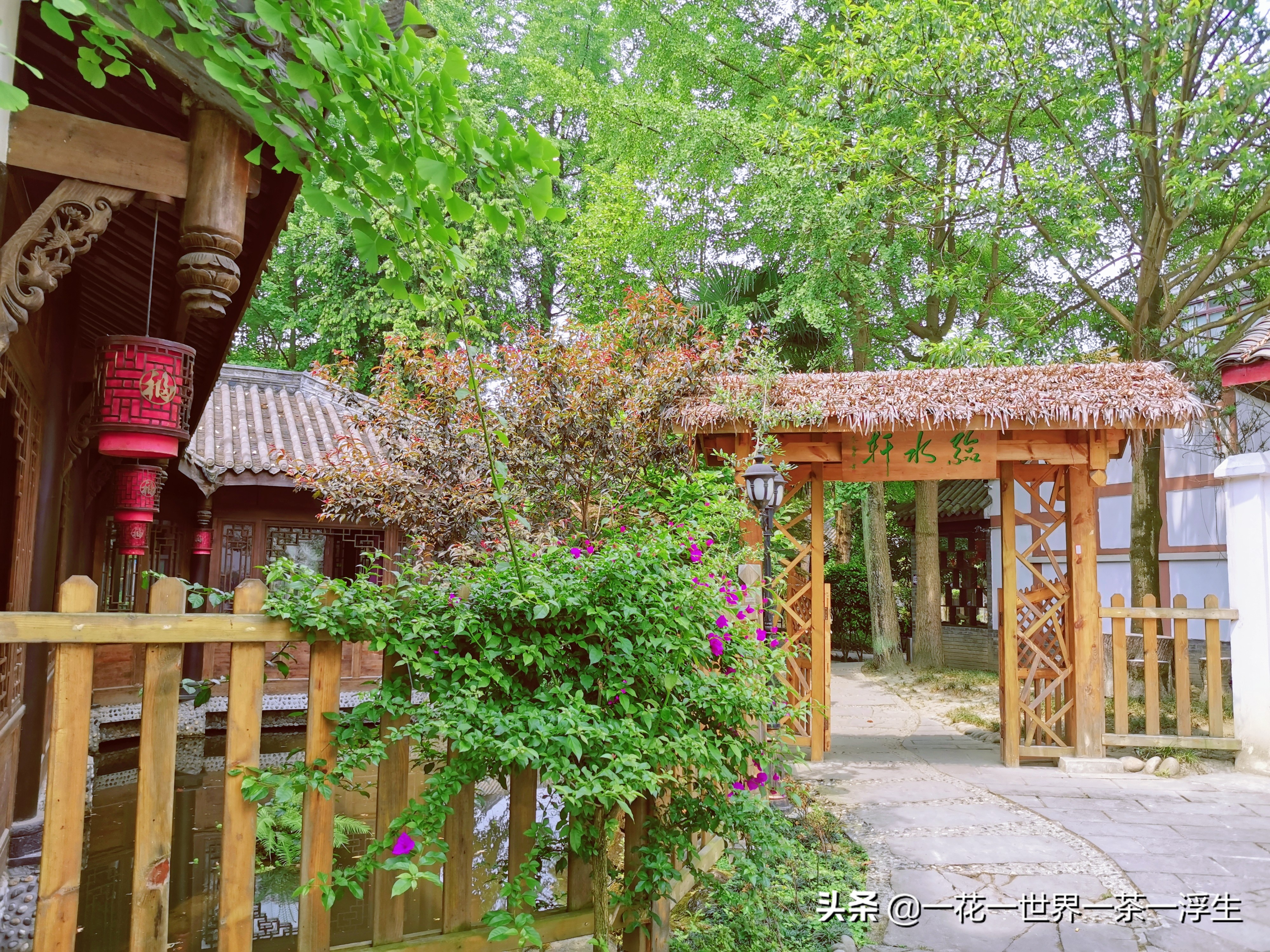 寻找巴适的成都小院（2）