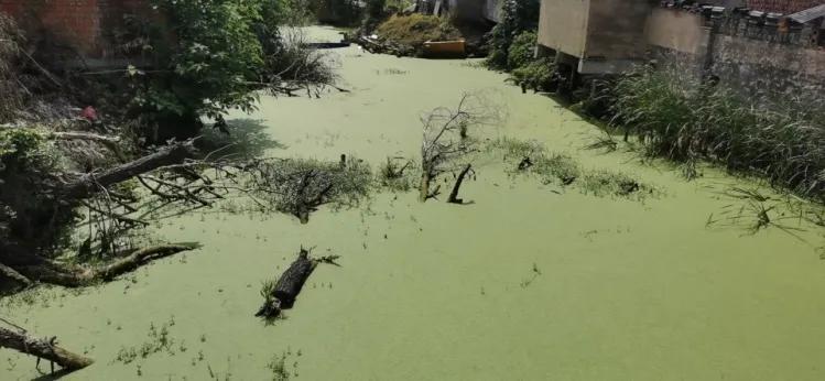 省级督察！常州这些地方脏乱差，涉遥观横山桥横林湖塘牛塘前黄洛阳雪堰湟里