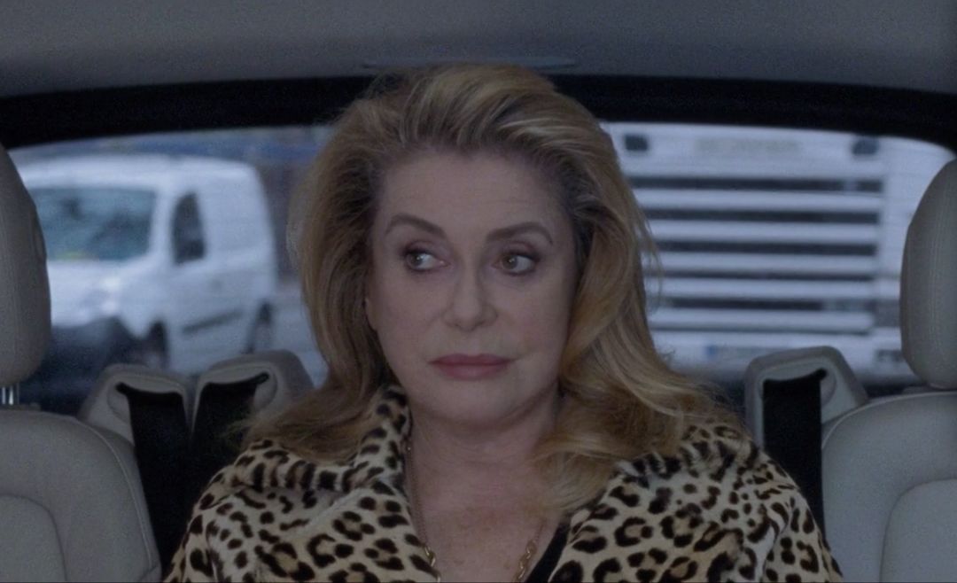 法国十大顶级女神,法国最美的女人超模