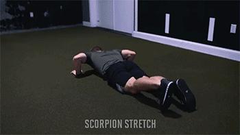 健身大神腿部训练方法,基础有效的健身动作