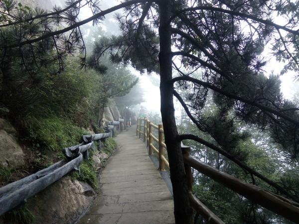 河南旅游景点免门票有哪些,河南有哪些免门票旅游景点值得去