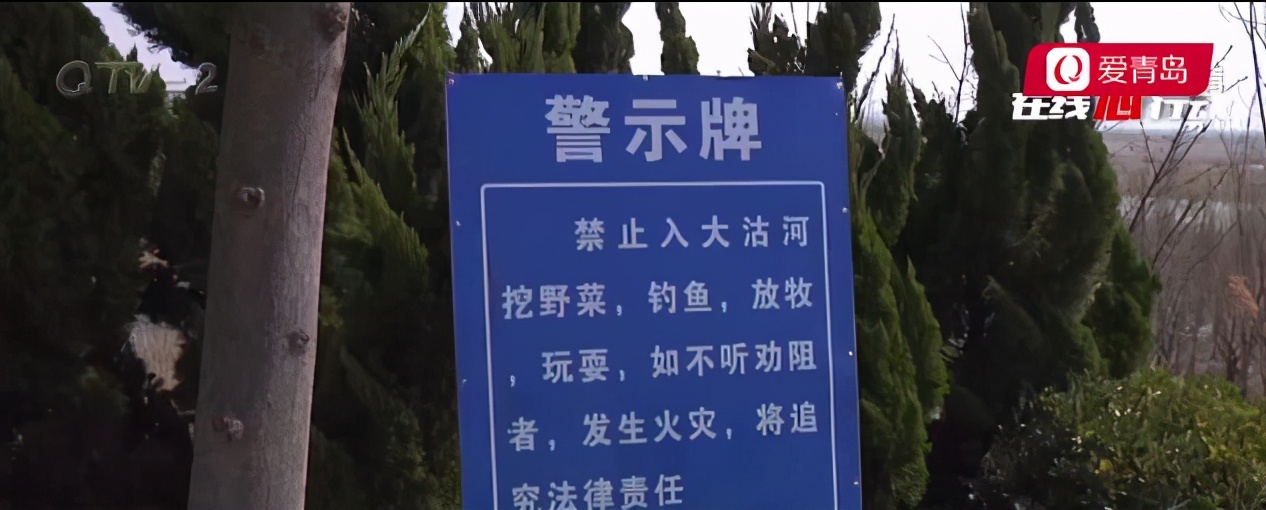 跨区域非法捕捞现象猖獗,一天能抓多少鱼