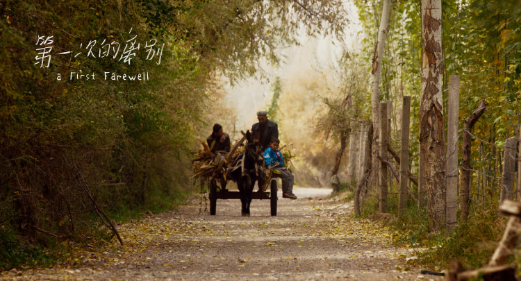 油画般的电影风格,油画般画质的电影