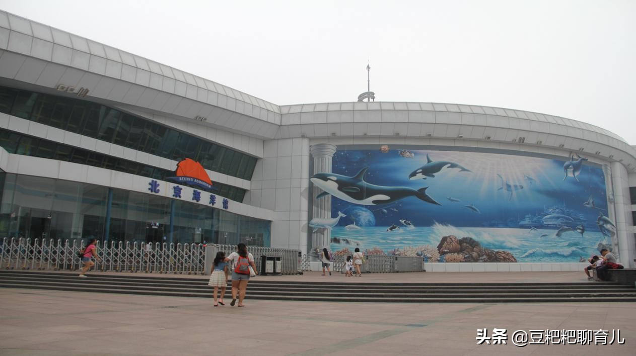 亲子游玩动物园地点推荐,假期亲子去哪玩