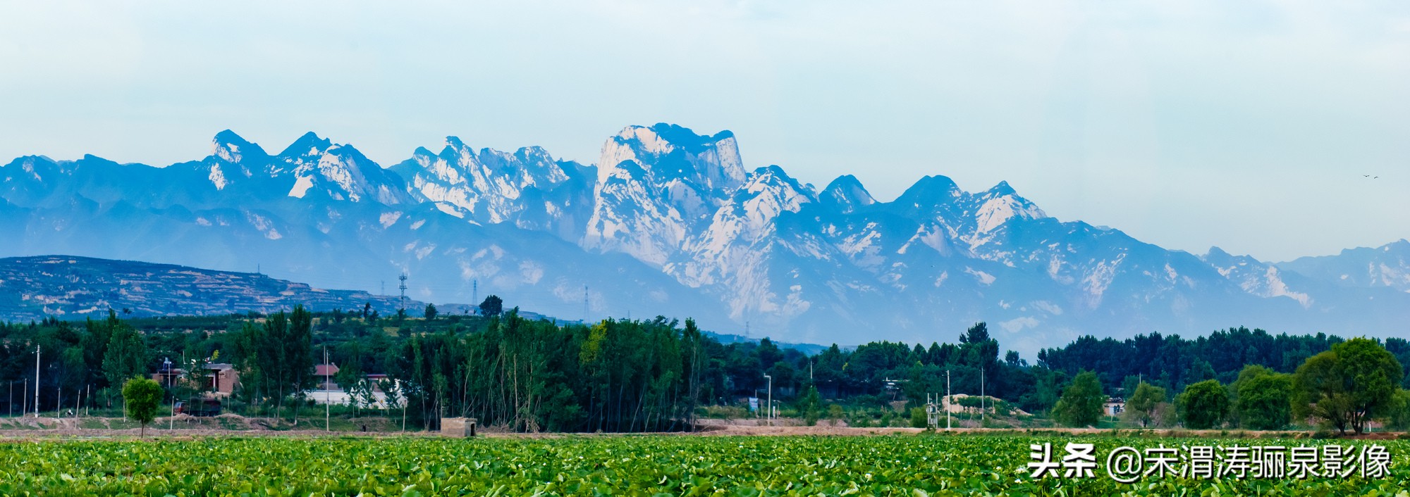 怎样加入泰安市区摄影家协会,如何快速加入中国摄影家协会
