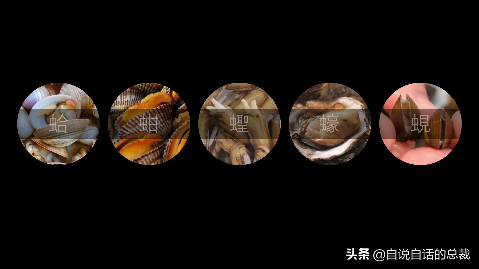 蚬蚌蛏的区别是什么,蚶子蛤蜊蚬子区别