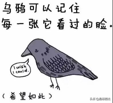 8个关于动物的冷知识,你不知道的二十条动物冷知识