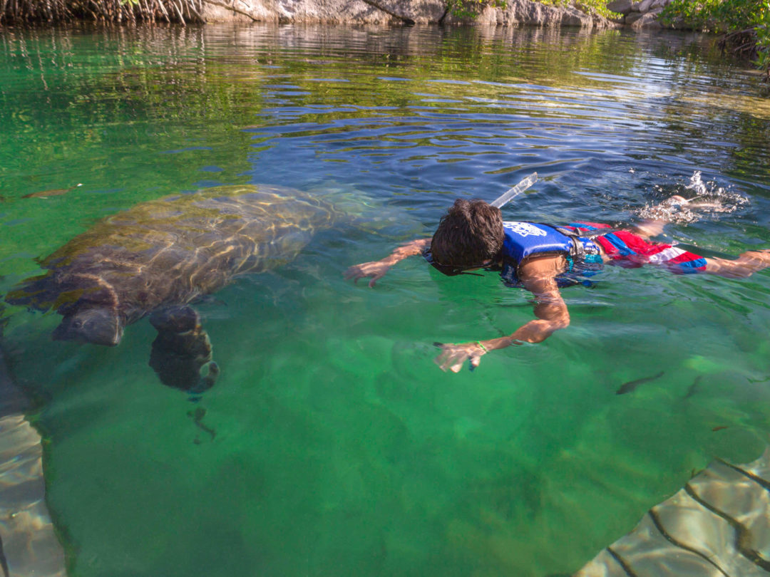 墨西哥坎昆亲子旅游攻略,坎昆旅游季