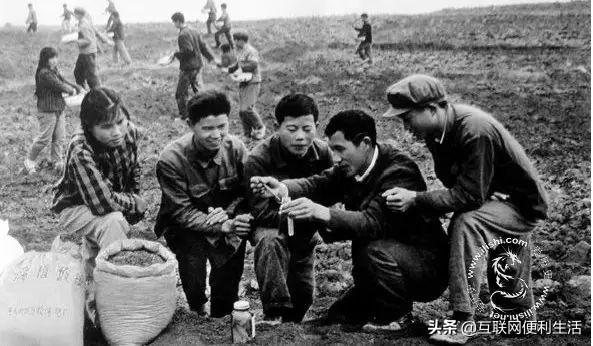 白酒江西产区,江西白酒市场份额图