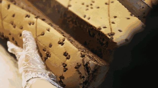 「台拾记」给个机会，只要一口你就忘不了！（内有粉丝福利）