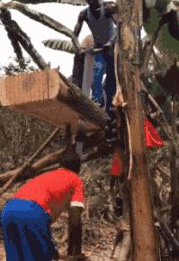 无线路由器搞笑图片,搞笑路由器视频大全