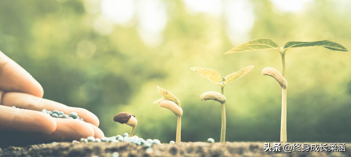 论语中修心篇,论语修心养性