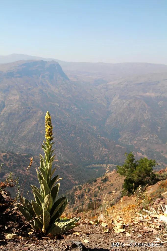 世界上最美的80个地方你去过几个,你知道世界最美的地方在哪里吗