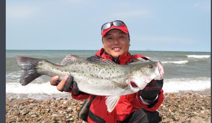 凶猛路亚对象鱼,路亚对象鱼有哪些