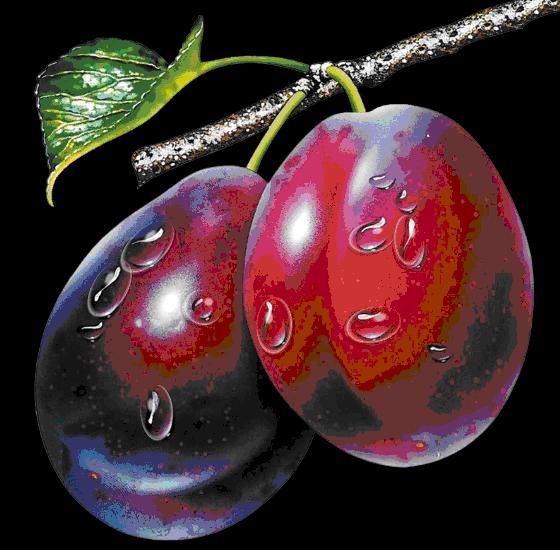 大年初五群相册，有群的都看看，太美了，这辈子见一次值了