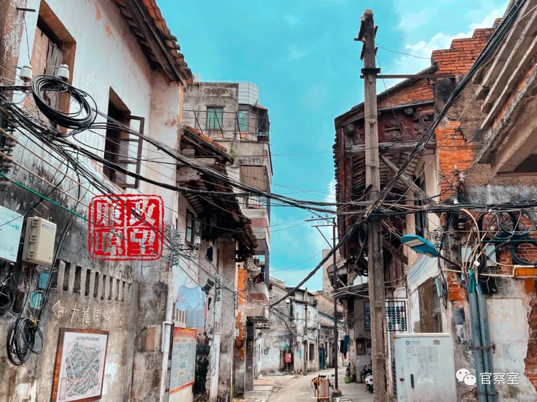 全红婵露出喜剧天赋,全红婵退场