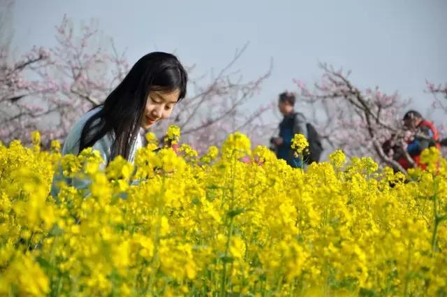 禹州清明踏青旅游攻略,禹州春游爬山的好地方