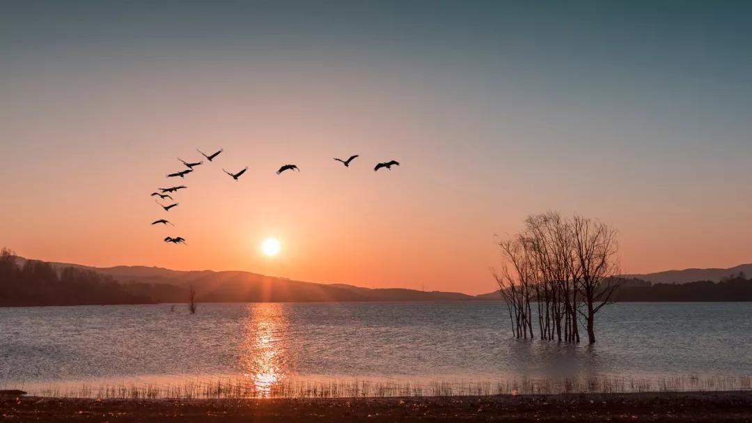 10个适合一个人去的小众旅行地,人少景美的小众旅行地夏季