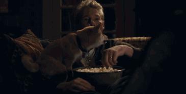 严打非法经营野生动物,贩卖野生保护动物如何处罚