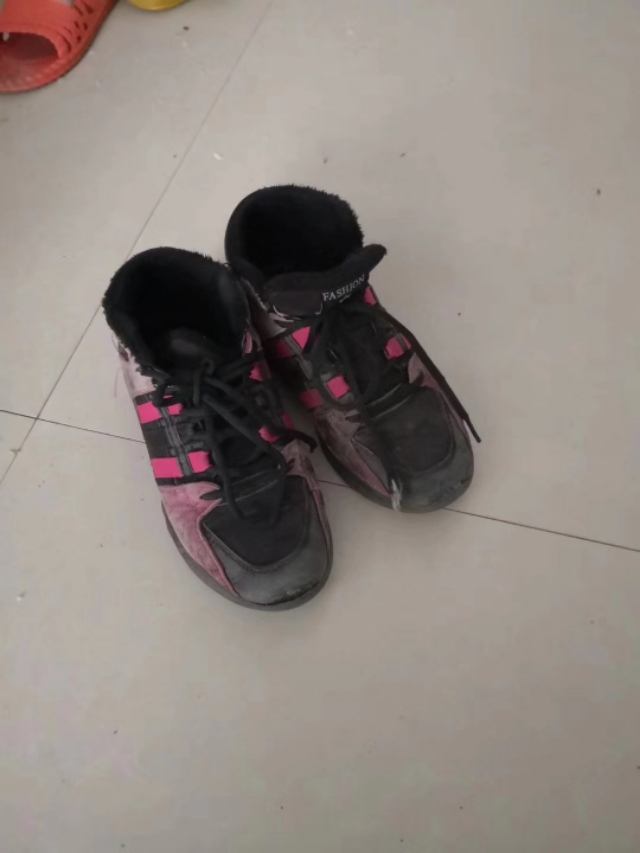 乌兰察布草原杯足球,内蒙古草原雄鹰足球队