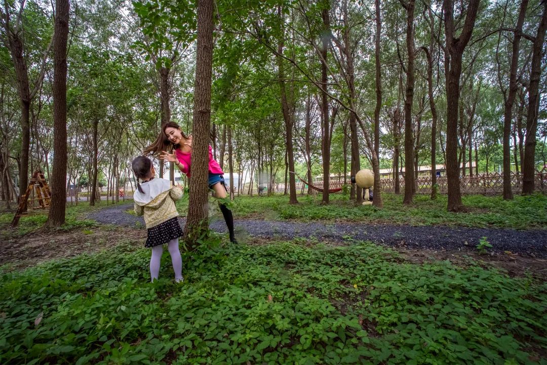 泰州华侨城温泉奥思廷酒店399元起，高级房，泡温泉，体验高尔夫