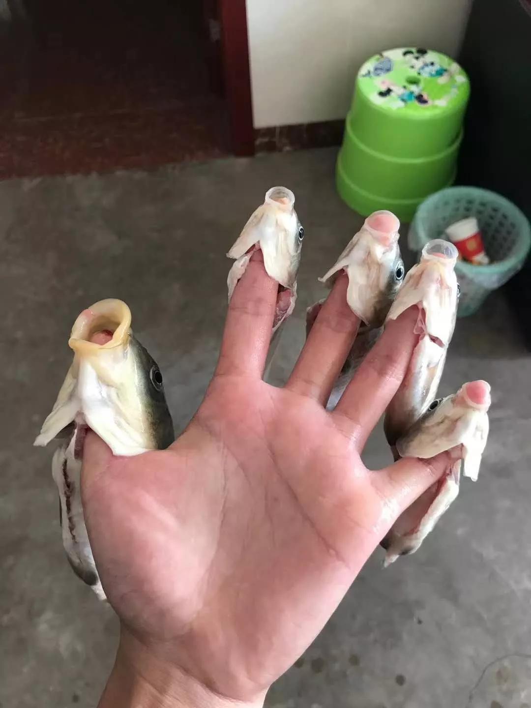 宜宾疫情难熬的日子,宜宾疫情隔离生活