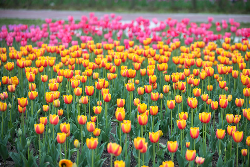 南昌月亮湾一日游最佳攻略,南昌月亮湾旅游攻略和自驾游攻略
