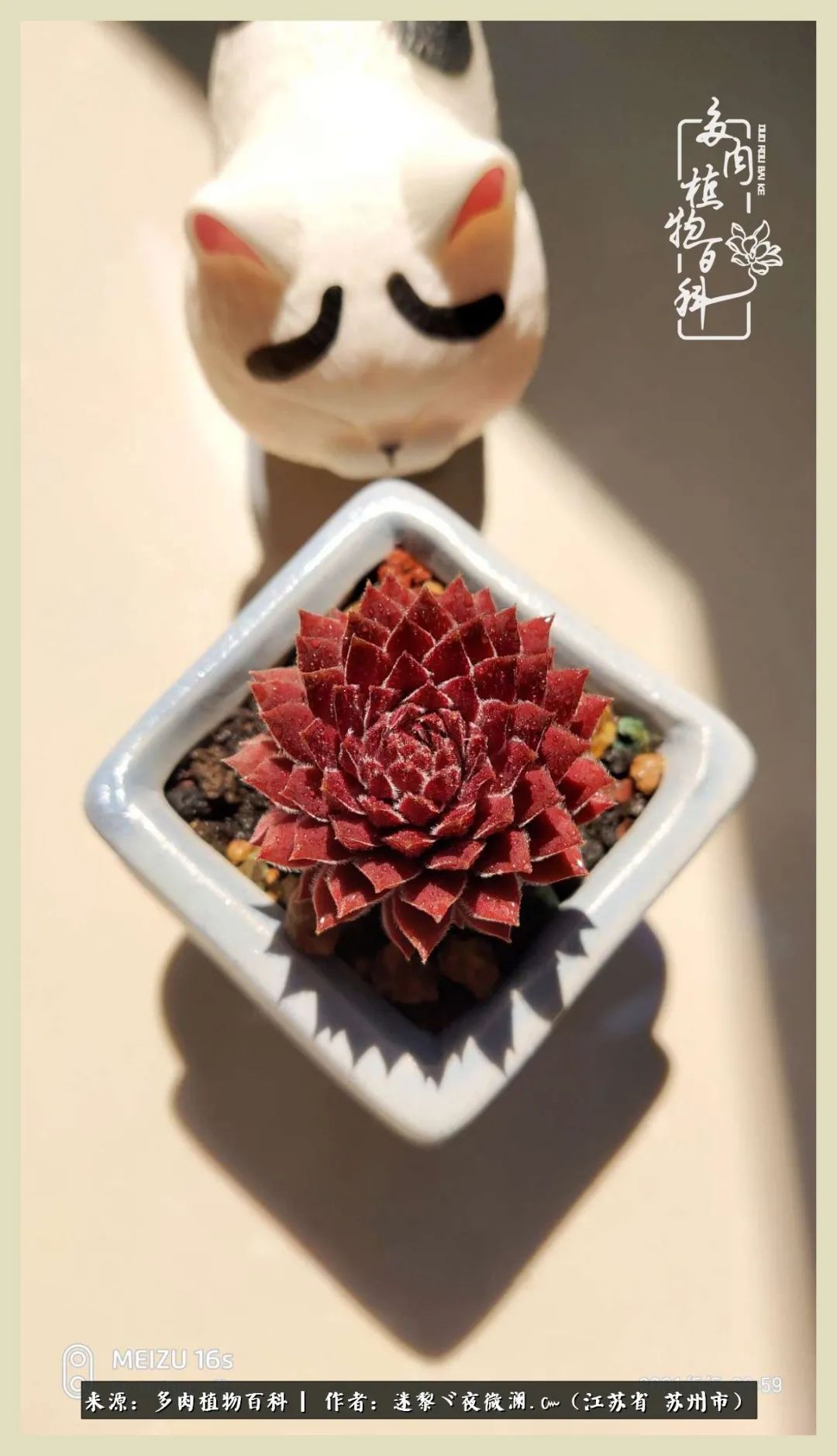 秋尽冬来岁月不居时节如流,岁月不居时节如流水