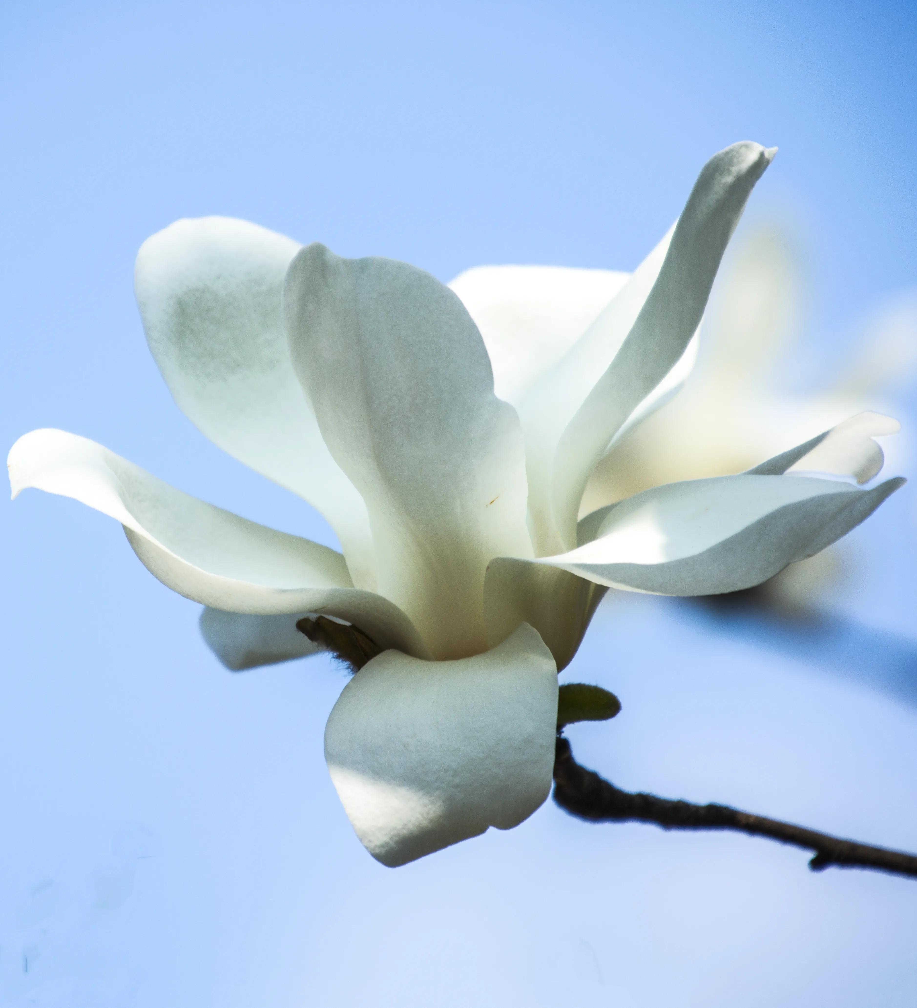 贵州大学8090后的回忆,贵州大学往事