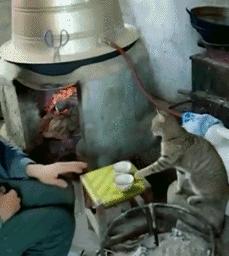 搞笑大哥爆笑图片,搞笑动图走一波