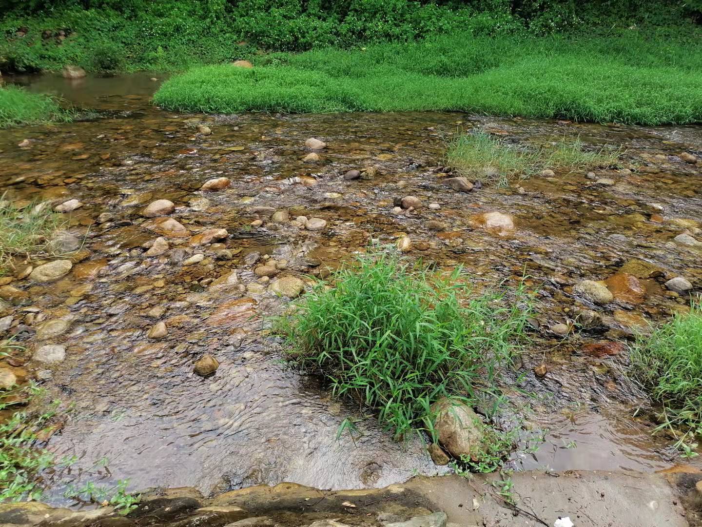 周边旅游景点推荐自驾游罗浮山,罗浮山风景区一日游攻略