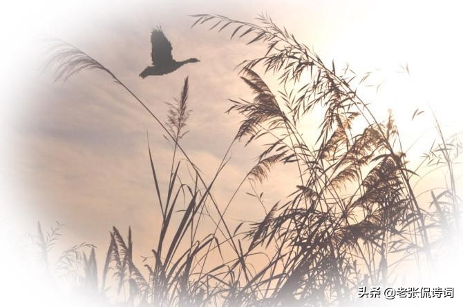 纳兰性德最出名十首诗词,纳兰性德诗词最全版解析