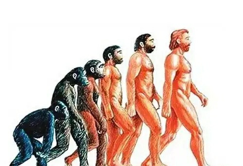 生物进化论的提出者是达尔文吗,达尔文怎么发现进化论