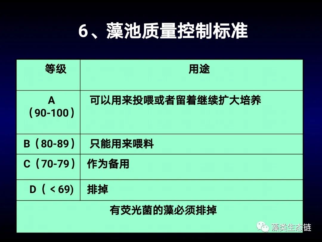 藻类培养课程视频教程,海南藻类生态链