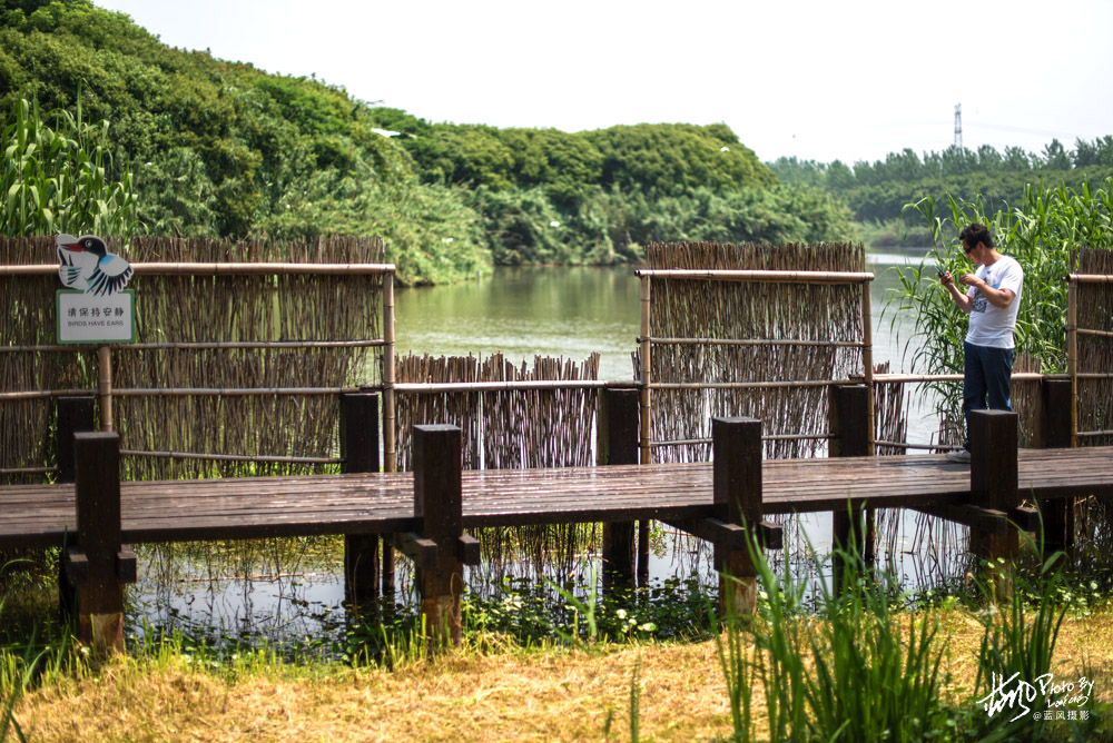 不进沙家浜景区能看到芦苇荡,深度游玩沙家浜风景区