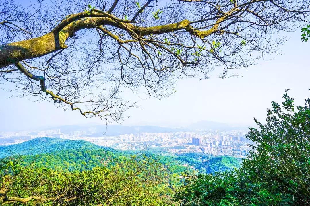 广州白云山风景区最新通知,广州白云山改造规划