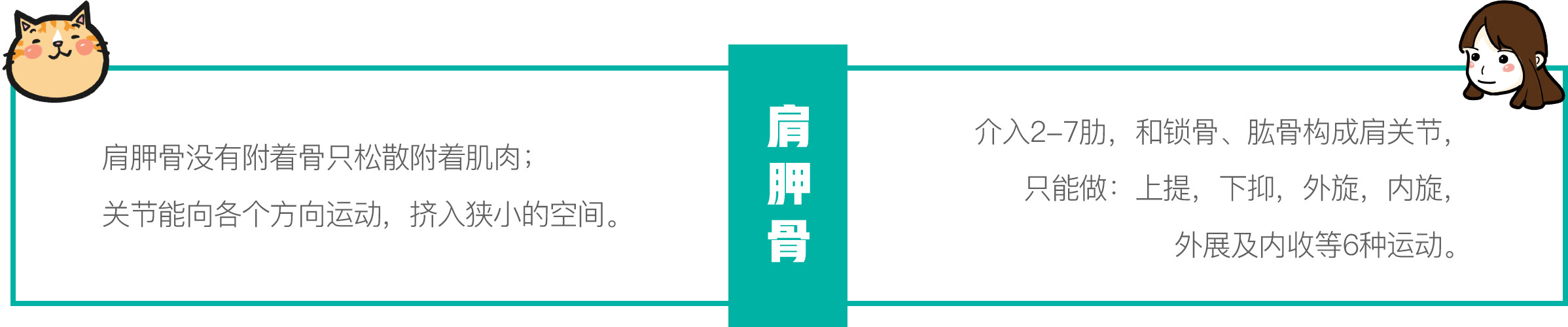 只需一个容器，你就能收获一滩“液体猫”