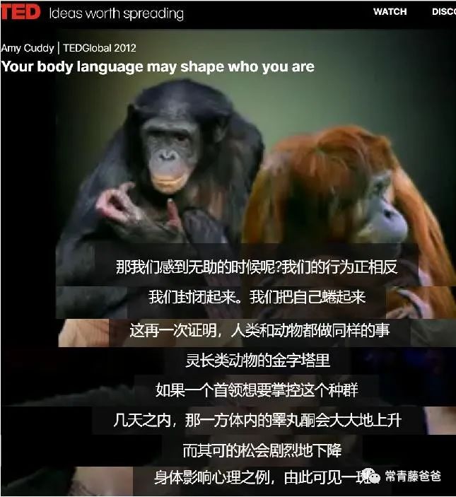 小朋友上台没有自信怎么办,孩子上台怯场不自信为什么