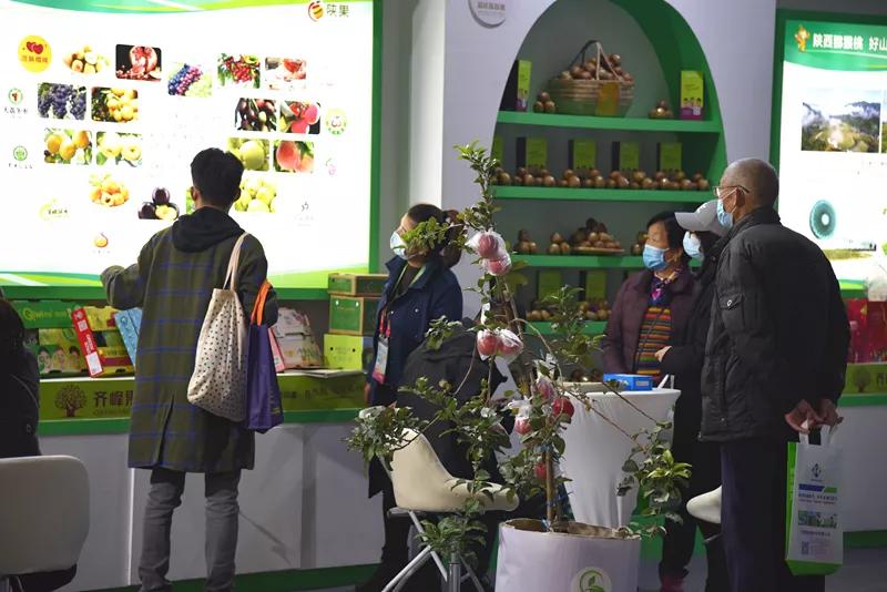 黄陵融媒记者走进农高会,跟着记者看杨凌农高会